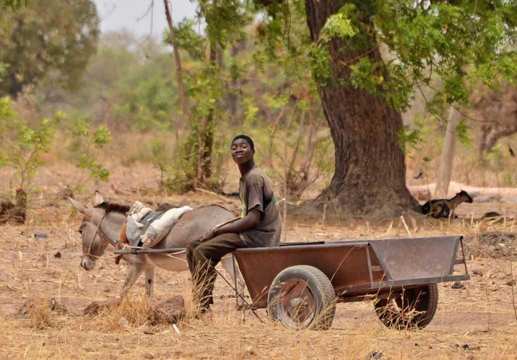 Burkina Faso - GlobeTracker putovanja daleke destinacije